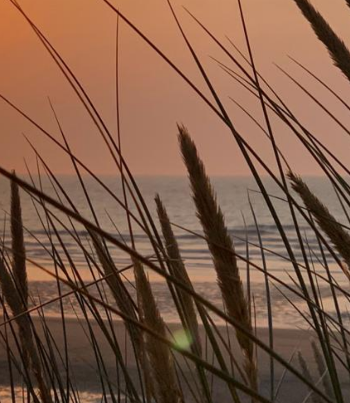 n_b0ae4e2-f280-4787-9598-41ef1_i@2x -  - Homepage